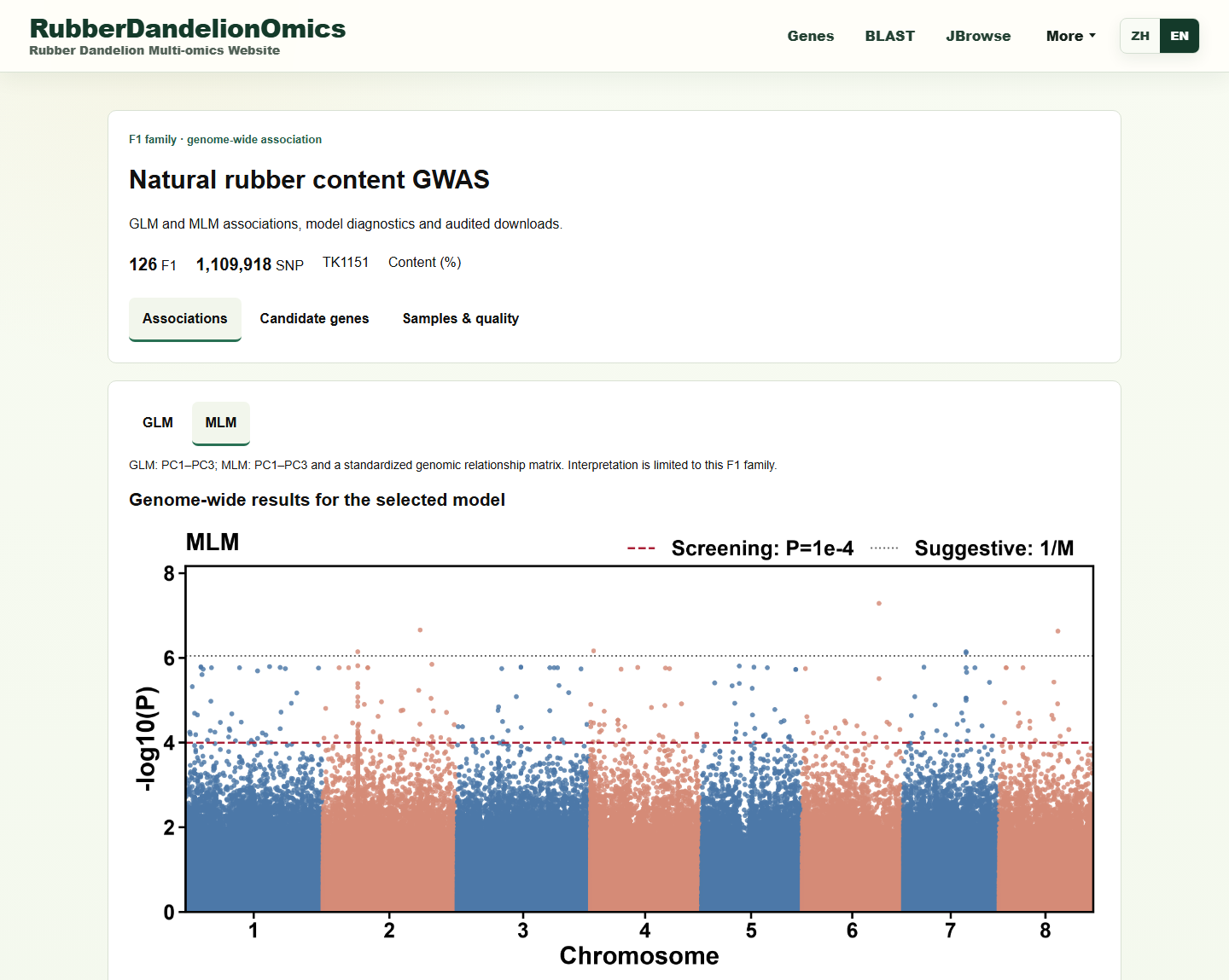 GWAS: English association overview and MLM Manhattan plot