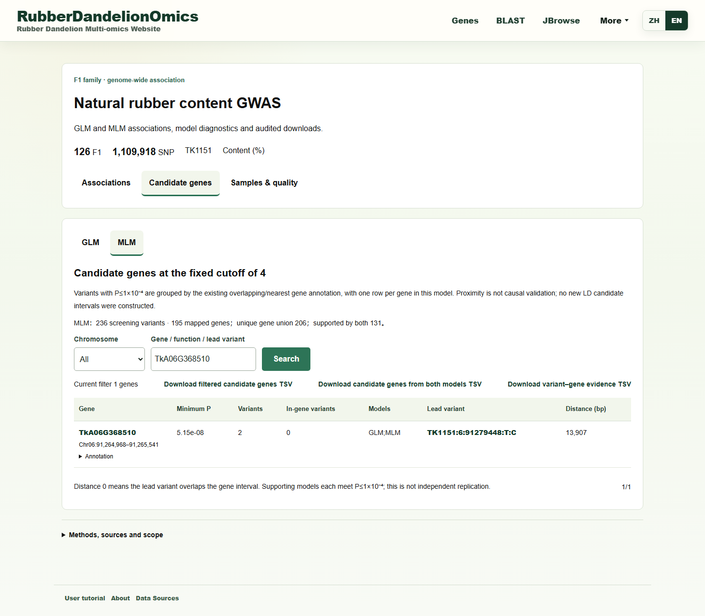 GWAS: MLM candidate query for TkA06G368510
