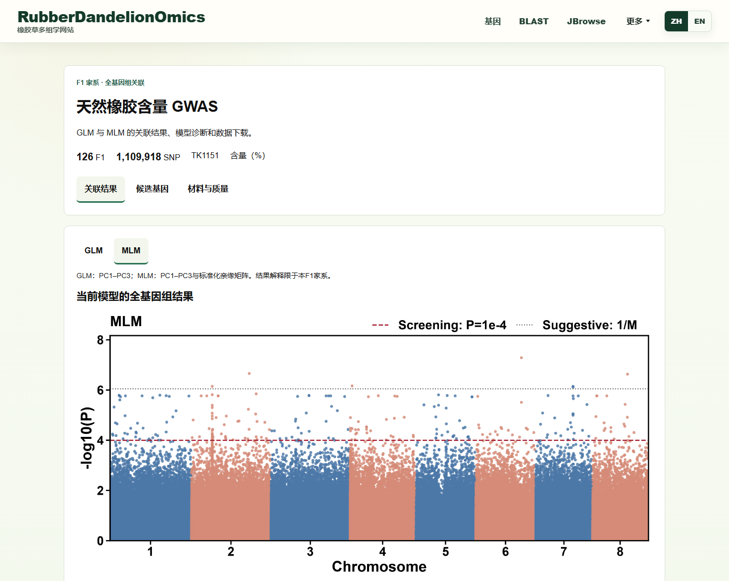 GWAS：中文关联总览与MLM曼哈顿图