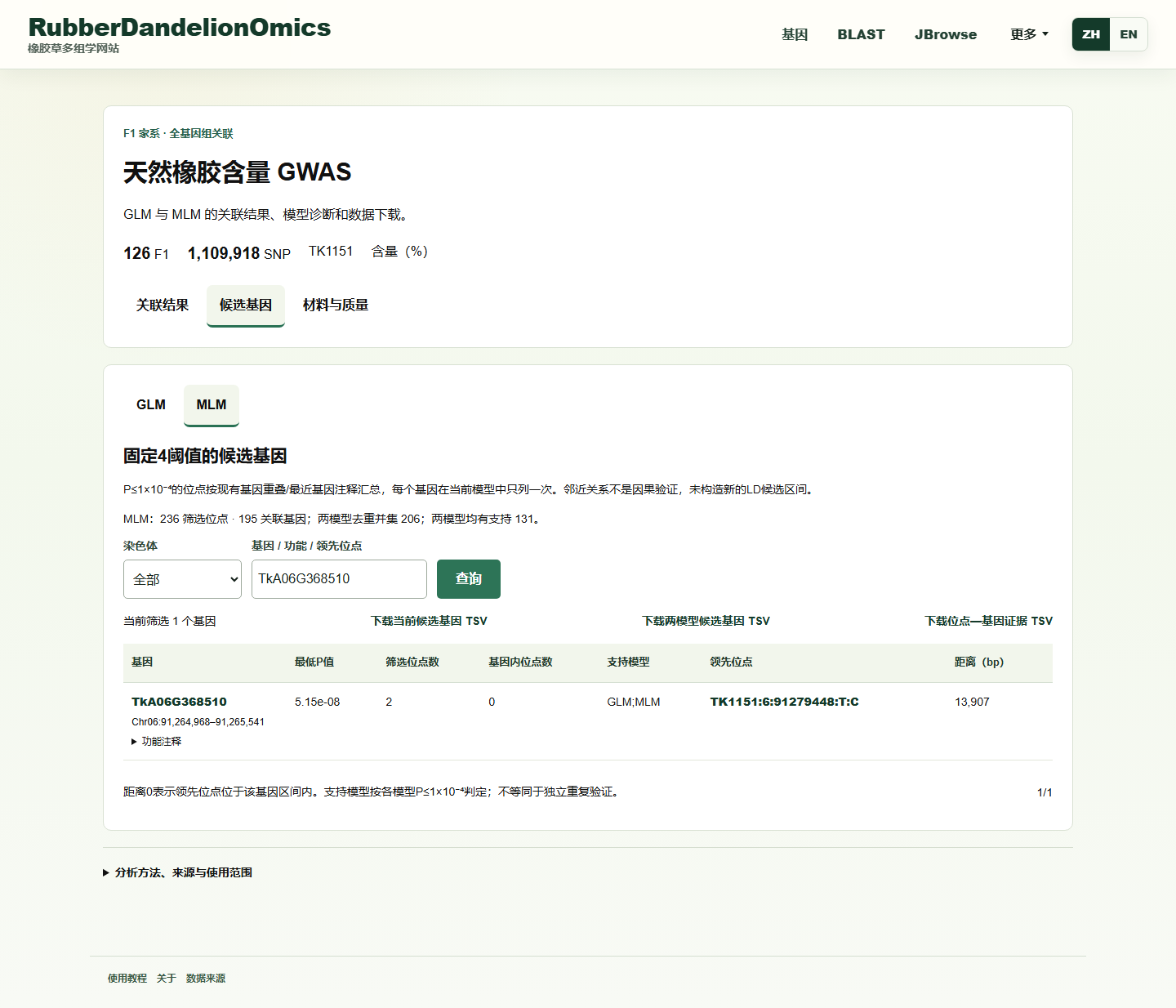 GWAS：TkA06G368510的MLM候选查询结果