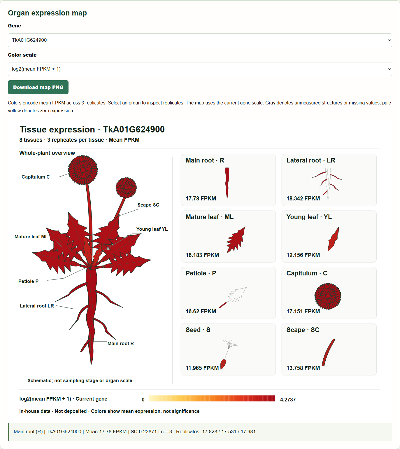 Tissue distribution schematic: eight tissue categories and expression color legend